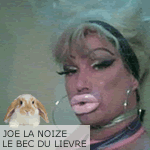Joe La Noise - le Bec Du Lièvre